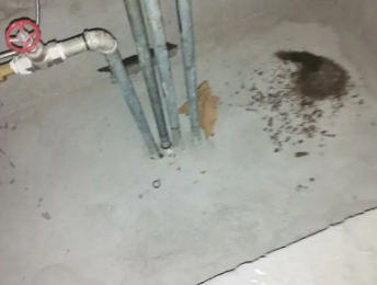 昭通卫生间测漏水价格明细